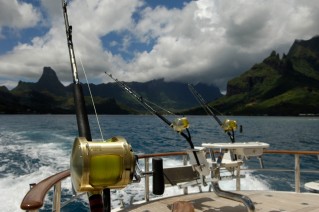 ULTIMATE LADY Fishing